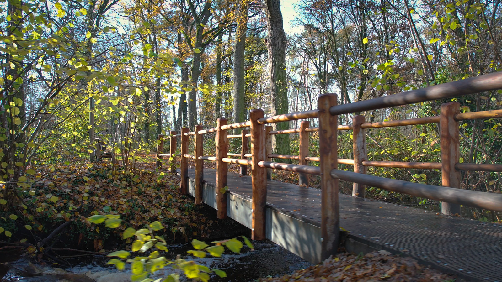 Sfeerfoto_ De Berken