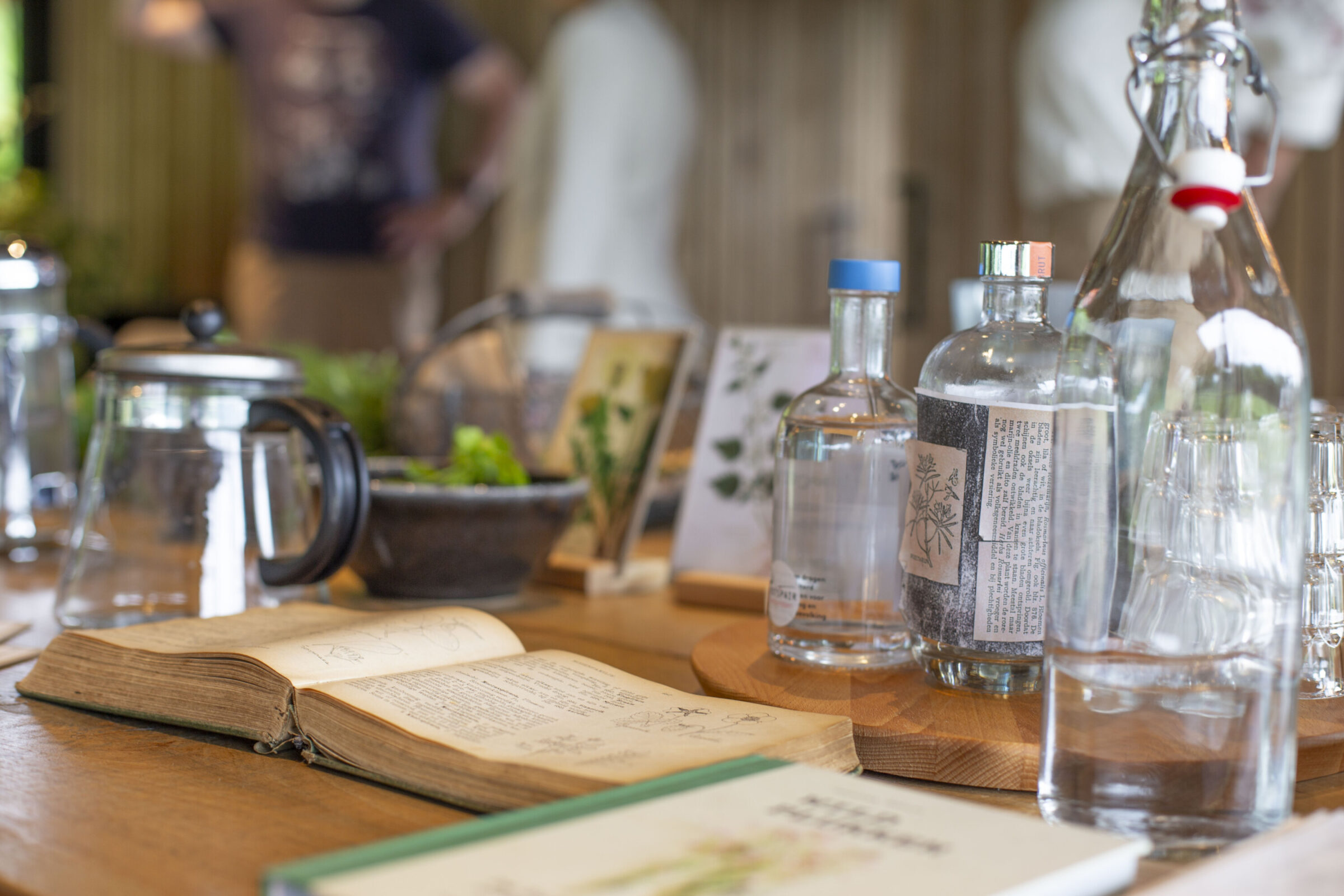 HR_kruidenwandeling_f