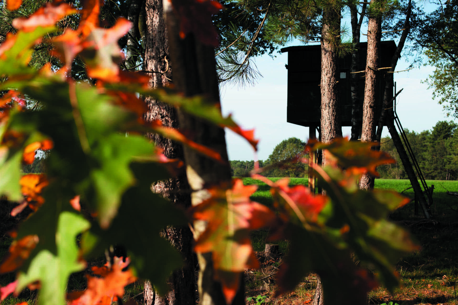 Sfeerfoto - Landgoed Hoeve Ruth