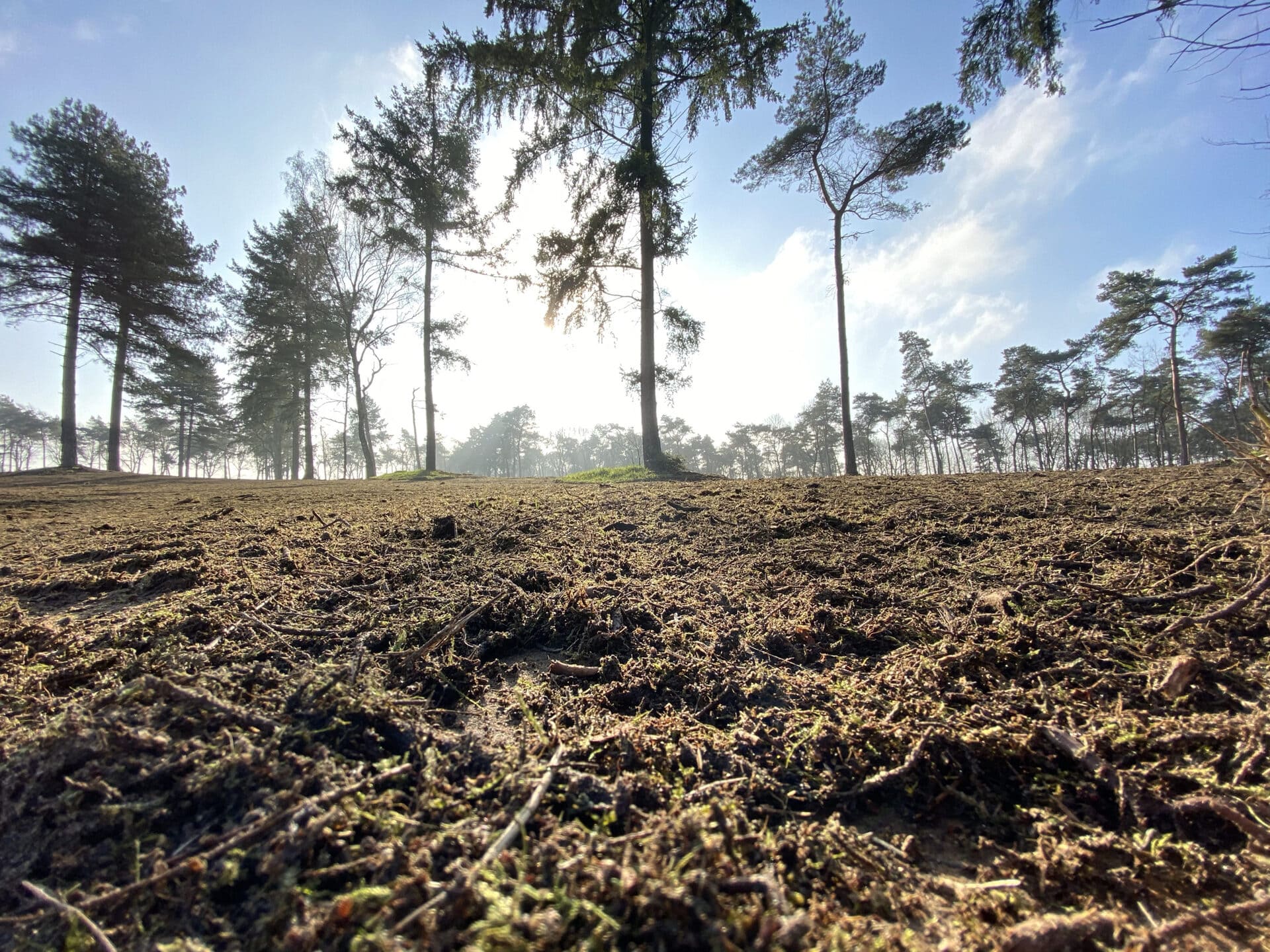 Sfeerfoto - Landgoed Hoeve Ruth