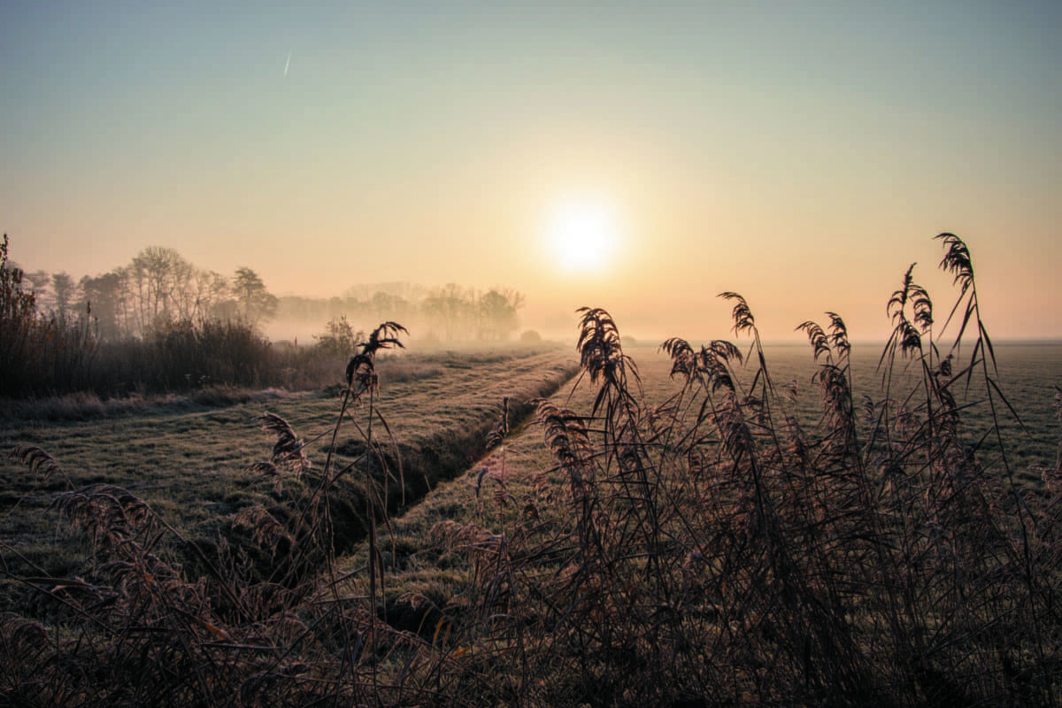 Sfeerfoto - Landgoed Hoeve Ruth