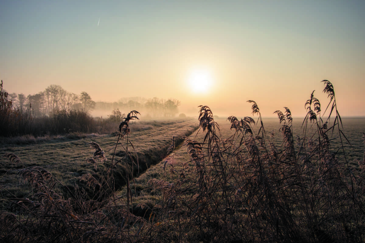 Sfeerfoto - Landgoed Hoeve Ruth