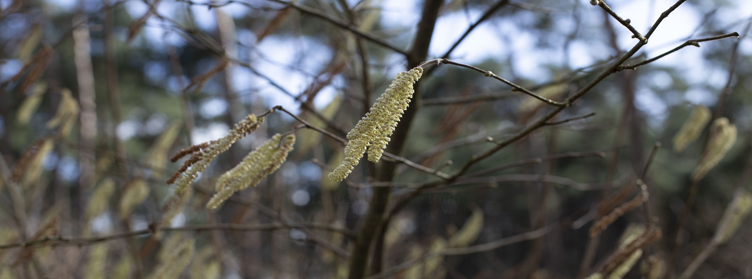 Sfeerfoto - Landgoed Hoeve Ruth