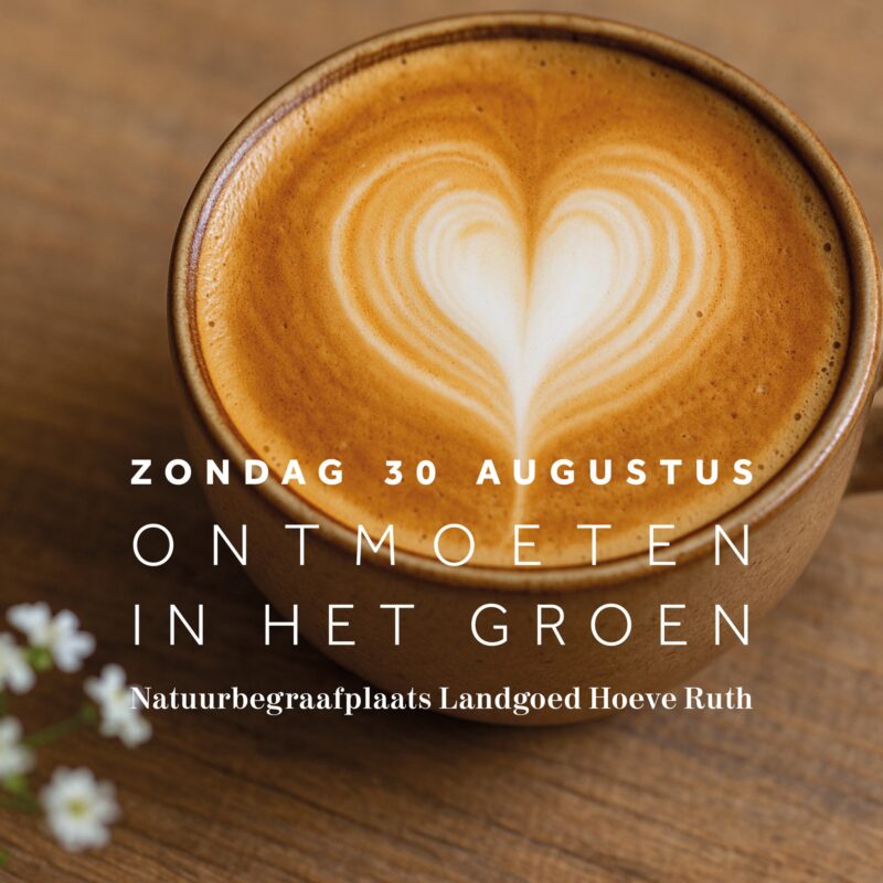 𝗭𝗢𝗡𝗗𝗔𝗚 𝟯𝟬.𝟬𝟴.𝟮𝟬𝟮𝟲 '𝗢𝗡𝗧𝗠𝗢𝗘𝗧𝗘𝗡 𝗜𝗡 𝗛𝗘𝗧 𝗚𝗥𝗢𝗘𝗡' | 🌿 Tijdens 𝗢𝗻𝘁𝗺𝗼𝗲𝘁𝗲𝗻...