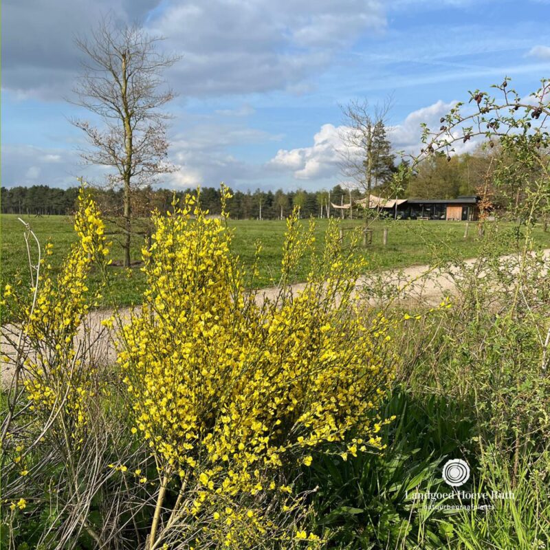 𝗕𝗥𝗘𝗠 | 🌿 Op Landgoed Hoeve Ruth tref je op...