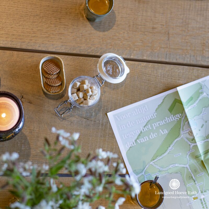 𝗘𝗘𝗡 𝗣𝗟𝗘𝗞 𝗧𝗘𝗥𝗨𝗚𝗩𝗜𝗡𝗗𝗘𝗡? | 🌿 In ’t Veldhuys helpen we...