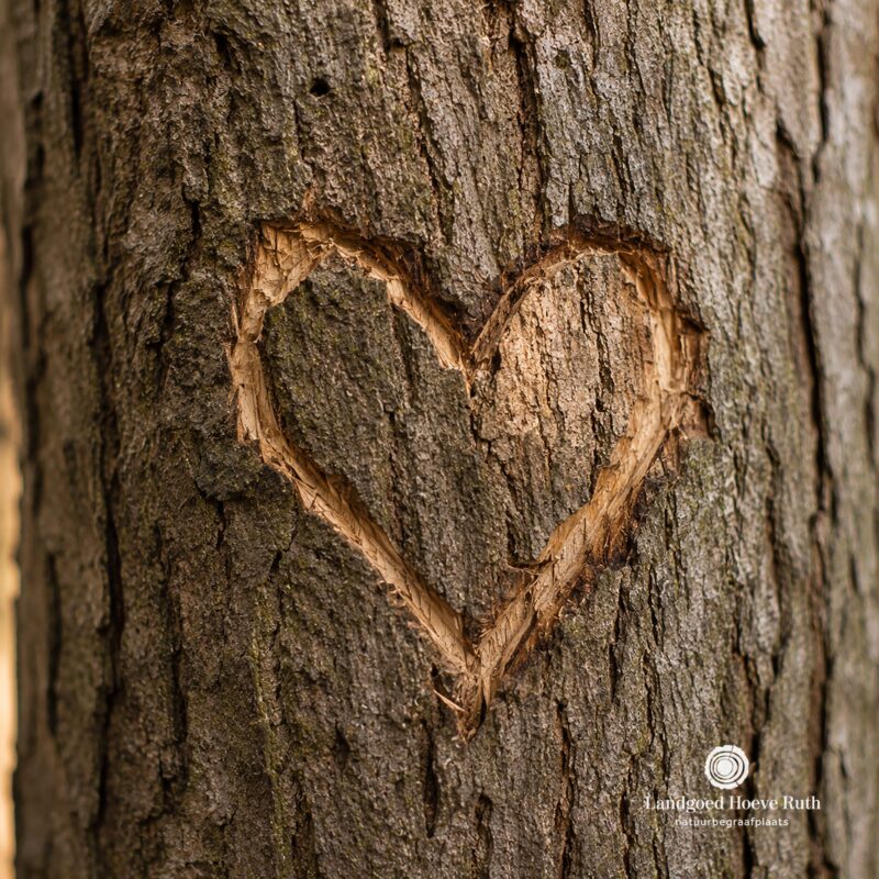 𝗩𝗔𝗗𝗘𝗥𝗗𝗔𝗚 | 🌿 Op Vaderdag staan we stil bij alle...