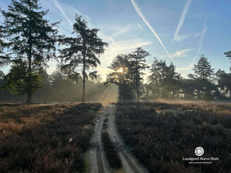 𝗦𝗘𝗣𝗧𝗘𝗠𝗕𝗘𝗥 | 🌿 Zo mooi was het de afgelopen dagen...