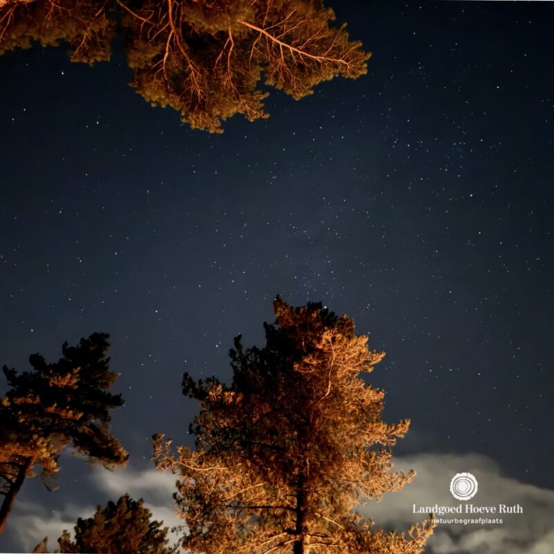 𝗪𝗜𝗡𝗧𝗘𝗥𝗧𝗜𝗝𝗗 𝗜𝗡 '𝗧 𝗩𝗘𝗟𝗗𝗛𝗨𝗬𝗦 | 🌿 Tijdens de wintermaanden, wanneer...