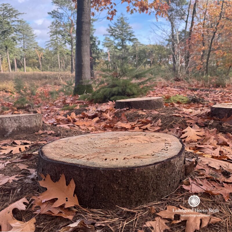 𝗩𝗢𝗢𝗥 𝗔𝗟𝗧𝗜𝗝𝗗 𝗦𝗔𝗠𝗘𝗡 | 🌿 Herbegraven kan een manier zijn...