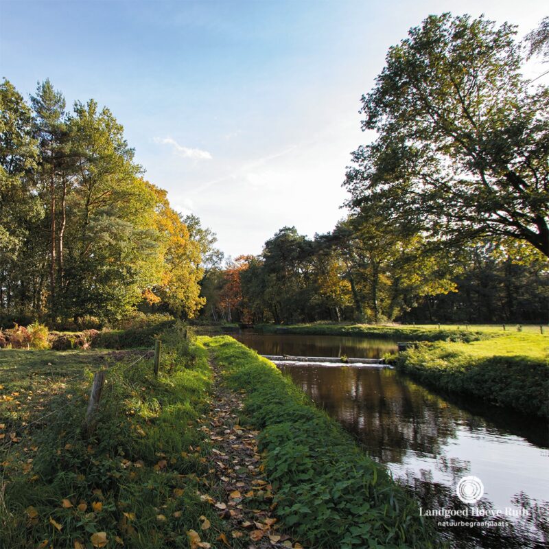 𝗪𝗔𝗡𝗗𝗘𝗟𝗘𝗡 𝗗𝗢𝗢𝗥 𝗛𝗘𝗧 𝗔𝗔-𝗗𝗔𝗟 | 🌿 Op de grens van...