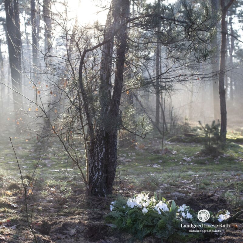 𝗡𝗔𝗧𝗨𝗨𝗥𝗟𝗜𝗝𝗞 𝗟𝗔𝗡𝗗𝗦𝗖𝗛𝗔𝗣 | 🌿 Het is zo oud als de...