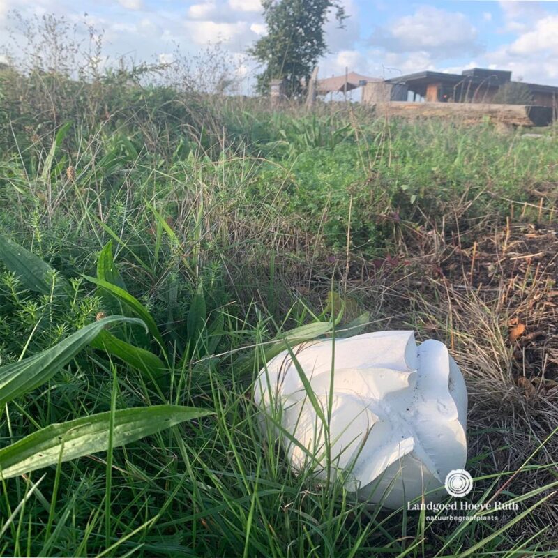 𝗢𝗡𝗗𝗘𝗥 𝗗𝗘 𝗕𝗘𝗨𝗞 | 🌿 Op de kruidenakker, onder de...