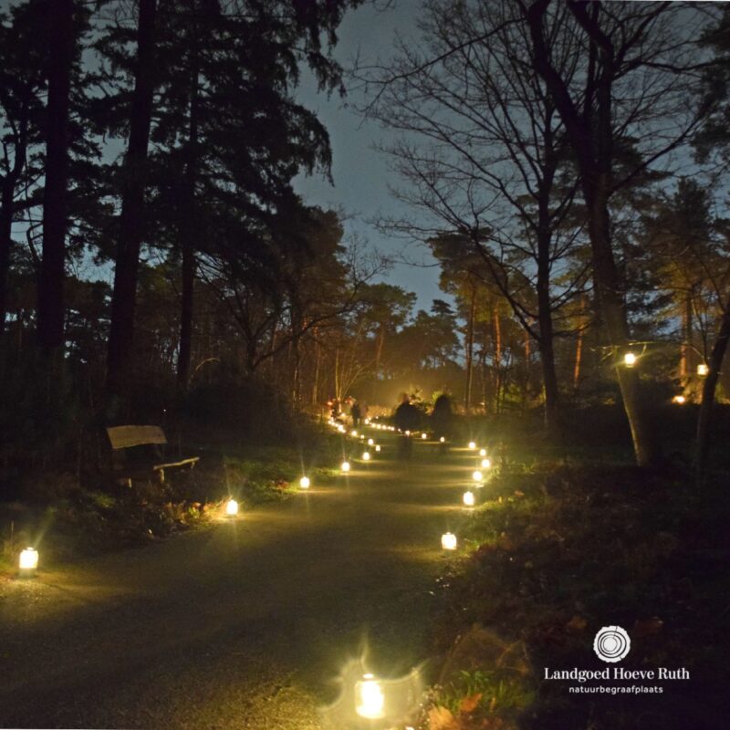 𝗠𝗜𝗗𝗪𝗜𝗡𝗧𝗘𝗥 | 🌿 We zijn druk met de voorbereidingen voor...