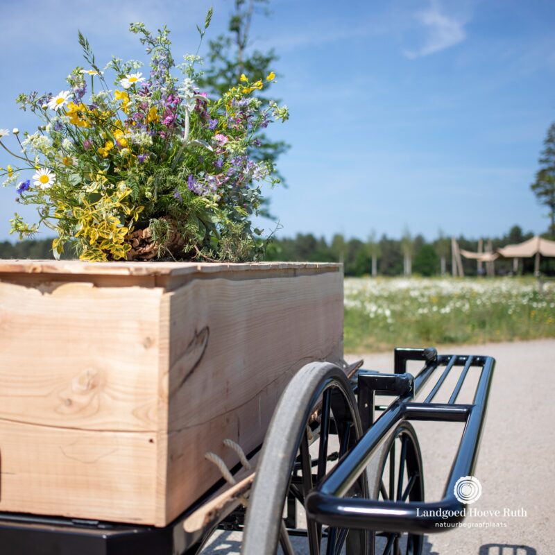 𝗣𝗨𝗨𝗥 𝗡𝗔𝗧𝗨𝗨𝗥 | 🌿 Bloemen.., een mix van veldbloemen en...
