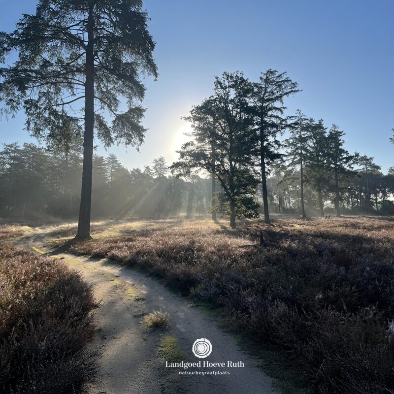 𝗠𝗜𝗦𝗧𝗬 𝗦𝗘𝗣𝗧𝗘𝗠𝗕𝗘𝗥 𝗠𝗢𝗥𝗡𝗜𝗡𝗚𝗦 | 🌿 September laat zich van alle...